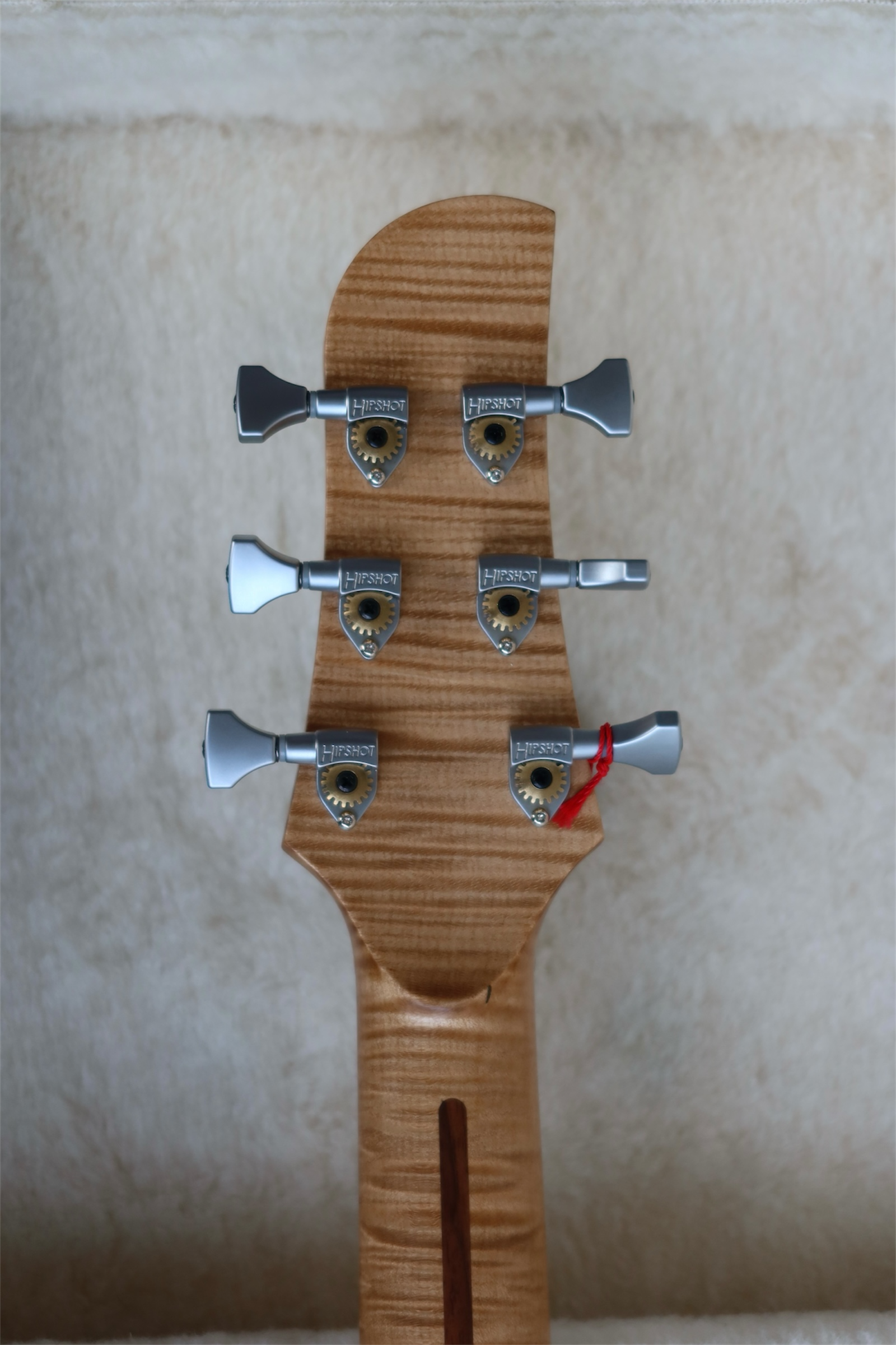 BACCI Leonardo Baritone Foresta Green – Bild 15
